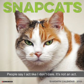 Calendar Snapcats 2024 12 X 12 Wall Calendar Book