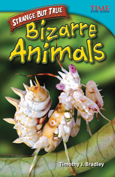 Paperback Straight Talk: Bizarre Animals Book