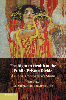 Paperback The Right to Health at the Public/Private Divide Book