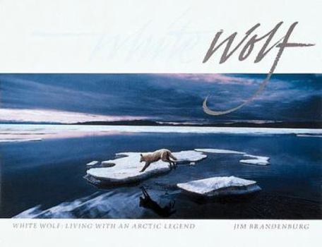 Paperback White Wolf: Living With an Arctic Legend Book