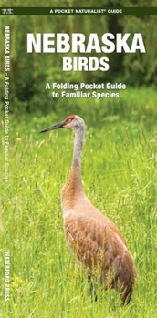 Paperback Nebraska Birds: An Introduction to Familiar Species Book