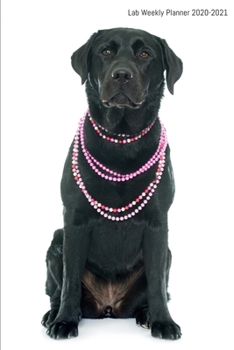 Lab Weekly Planner 2020-2021: Labrador Retriever Lover Notebook Gift , Two Year Weekly Planner With 2 Year Calendar 2020 2021,Size 6 X 9 Inch (Life Organizer Weekly Planner 2020-2021)