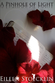 Paperback A Pinhole of Light Book