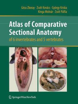 Paperback Atlas of Comparative Sectional Anatomy of 6 Invertebrates and 5 Vertebrates Book