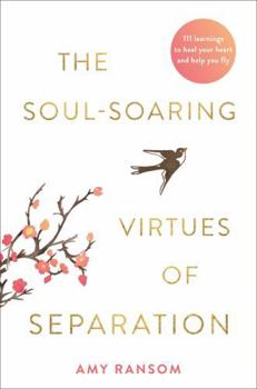 Paperback The Soul-Soaring Virtues of Separation: 111 Learnings to Heal Your Heart and Help You Fly Book