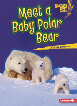 Paperback Meet a Baby Polar Bear Book