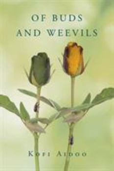 Paperback Of Buds and Weevils Book