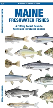 Maine Freshwater Fishes: A Waterproof Folding Guide to Native and Introduced Species