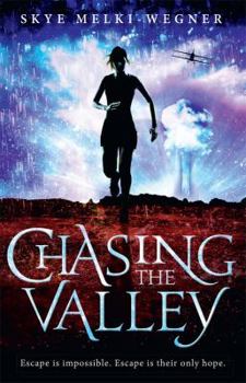 Magnetic Valley - Die Flucht der Fünf - Book #1 of the Chasing the Valley