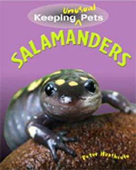 Paperback Salamanders Book