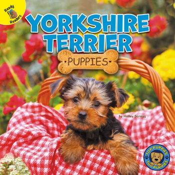 Hardcover Yorkshire Terrier Puppies Book