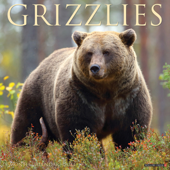Calendar Grizzlies 2024 12 X 12 Wall Calendar Book