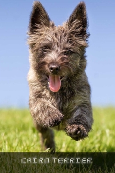 Paperback Cairn Terrier: Complete breed guide Book