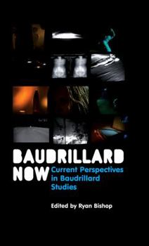 Paperback Baudrillard Now: Current Perspectives in Baudrillard Studies Book