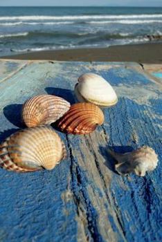 Paperback Sea Shell Journal: 150 page lined notebook/diary Book