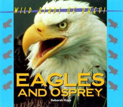 Hardcover Eagles & Osprey Book