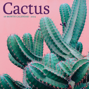 Calendar Cactus 2024 12 X 12 Wall Calendar Book
