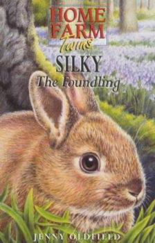 Silky the Foundling - Book #16 of the Home Farm Twins