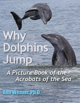 Paperback Why Dolphins Jump: A Picture Book of the Acrobats of the Sea Book