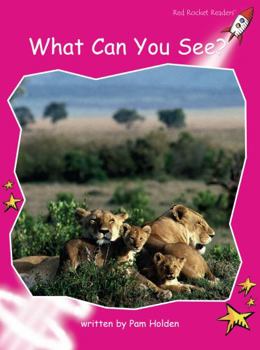 What Can You See? - Book  of the Red Rocket Readers