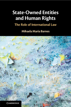 Paperback State-Owned Entities and Human Rights Book