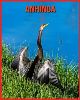 Anhinga: Unglaubliche Bilder und Wissenswertes über Anhinga