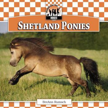 Shetland Ponies - Book  of the Horses