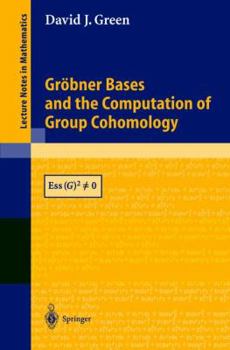 Paperback Gröbner Bases and the Computation of Group Cohomology Book