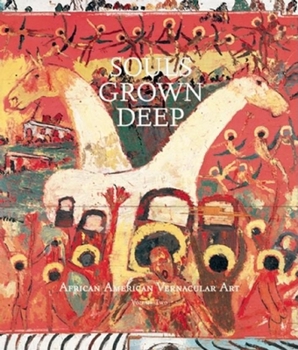 Hardcover Souls Grown Deep Vol. 2: African American Vernacular Art Book