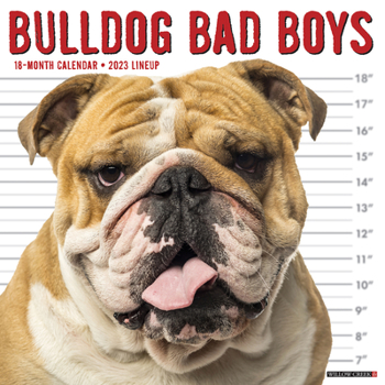 Calendar Bulldog Bad Boys 2023 Wall Calendar Book