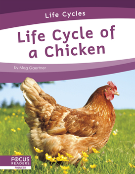 Paperback Life Cycle of a Chicken Book