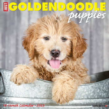 Calendar Just Goldendoodle Puppies 2023 Wall Calendar Book