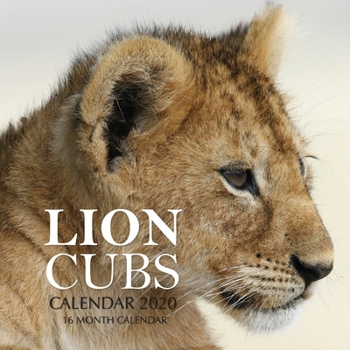 Paperback Lion Cubs Calendar 2020: 16 Month Calendar Book