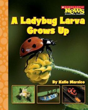 Library Binding A Ladybug Larva Grows Up Book