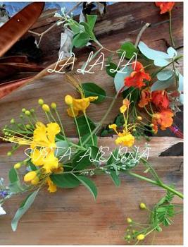 Hardcover La-La-La Book