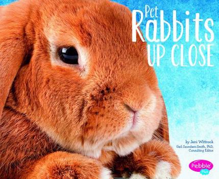 Hardcover Pet Rabbits Up Close Book