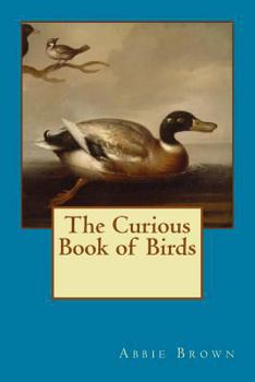 Paperback Curious Book of Birds Book