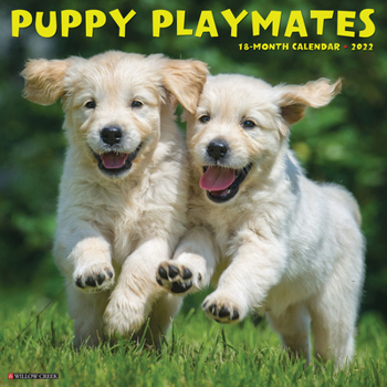 Calendar Puppy Playmates 2022 Wall Calendar Book