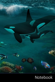 Paperback Notebook: 作曲、ファンタジー、デジタルӢ Book