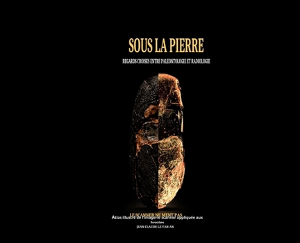 Hardcover Sous la pierre [French] Book