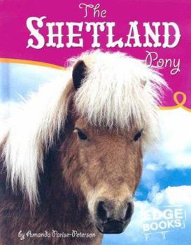 Hardcover The Shetland Pony Book