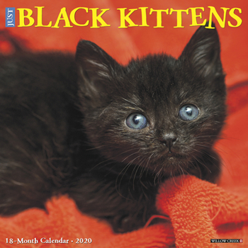 Calendar Just Black Kittens 2020 Wall Calendar Book