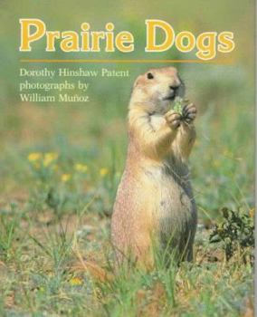 Hardcover Prairie Dogs CL Book