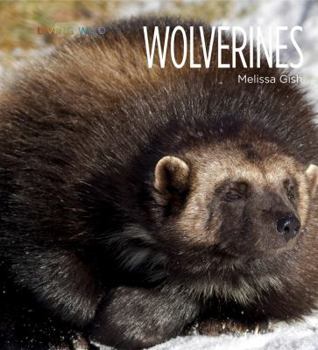 Wolverines - Book  of the Living Wild