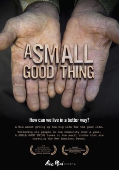 DVD A Small Good Thing Book