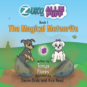 The Magical Meteorite - Book #1 of the Zuko and Allie Puff