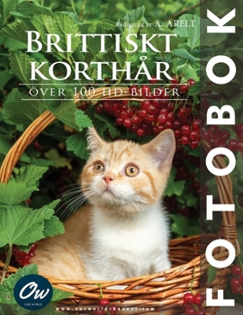Paperback Brittiskt korthår: Fotobok [Swedish] Book