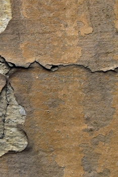 Happy Birthday Book: Happy Birthday Gifts Lined Journal Notebook  (719)  | Journal For Women, Friend Coworker  Birthday Gifts | Funny Gag Gift | Funny ... | 21 Birthday Gag Gifts For Best Friend)