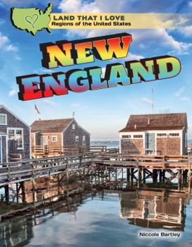 Paperback New England Book