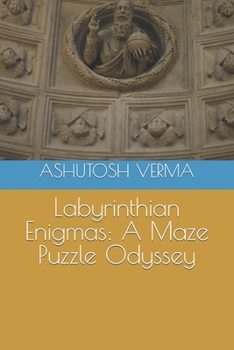 Paperback Labyrinthian Enigmas: A Maze Puzzle Odyssey Book